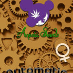 Mélange automatique XXL