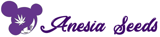 register-as-a-retailer-or-distributor-anesia-seeds-wholesale