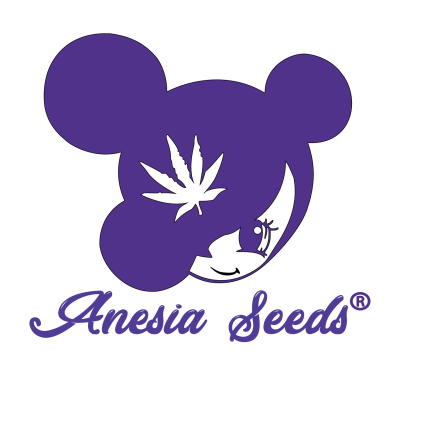 Anesia's Set