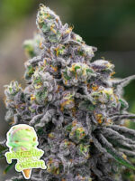 Pistachio Snow Cream