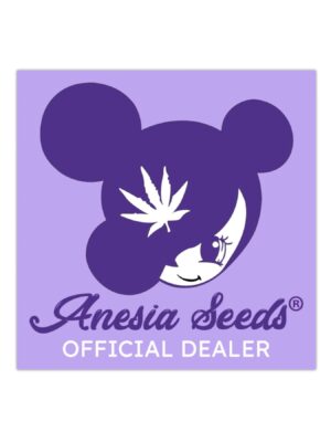 Window sticker 'Official dealer'